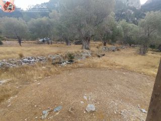 Αγροτεμάχια 3.476 τ.μ. για πώληση, Ν. Σάμου, Σάμος-thumb-3