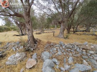 Αγροτεμάχια 3.476 τ.μ. για πώληση, Ν. Σάμου, Σάμος-thumb-4