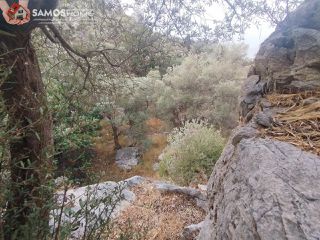 Αγροτεμάχια 3.476 τ.μ. για πώληση, Ν. Σάμου, Σάμος-thumb-6