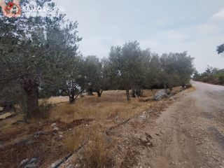 Αγροτεμάχια 3.476 τ.μ. για πώληση, Ν. Σάμου, Σάμος-thumb-10