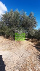 Οικόπεδο 5.228 τ.μ. για πώληση, Ν. Χανίων, Πλατανιάς-thumb-12