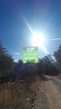 Οικόπεδο 5.228 τ.μ. για πώληση
