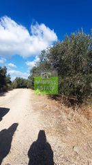 Οικόπεδο 5.228 τ.μ. για πώληση, Ν. Χανίων, Πλατανιάς-thumb-11