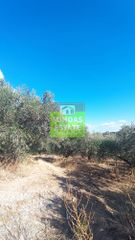 Οικόπεδο 5.228 τ.μ. για πώληση, Ν. Χανίων, Πλατανιάς-thumb-3