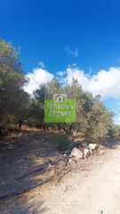 Οικόπεδο 5.228 τ.μ. για πώληση, Ν. Χανίων, Πλατανιάς-thumb-6