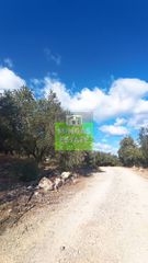 Οικόπεδο 5.228 τ.μ. για πώληση, Ν. Χανίων, Πλατανιάς-thumb-7