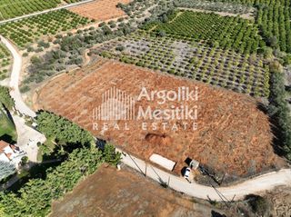 Αγροτεμάχια 5.700 τ.μ. για πώληση, Αργολίδα, Νέα Τίρυνθα-thumb-19