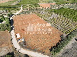 Αγροτεμάχια 5.700 τ.μ. για πώληση, Αργολίδα, Νέα Τίρυνθα-thumb-20