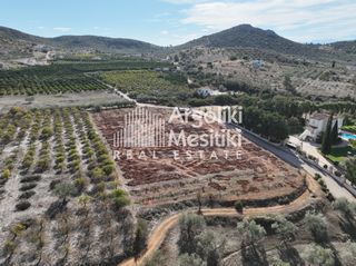 Αγροτεμάχια 5.700 τ.μ. για πώληση, Αργολίδα, Νέα Τίρυνθα-thumb-6