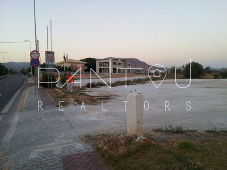 Οικόπεδο 5.000 τ.μ. για πώληση