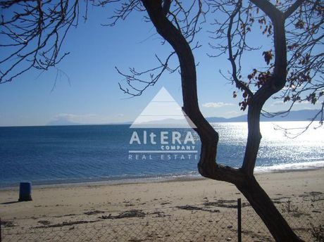 Οικόπεδο 6.422 τ.μ. για πώληση