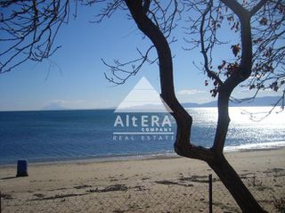 Οικόπεδο 6.422 τ.μ. για πώληση
