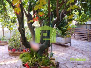 Κτίριο 348 τ.μ. για πώληση, Αχαΐα, Παραλία-thumb-24