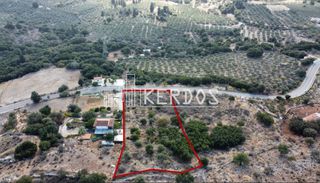 Οικόπεδο 4.008 τ.μ. προς πώληση, Κάινα-thumb-6