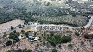 Οικόπεδο 4.008 τ.μ. προς πώληση, Κάινα-thumb-5