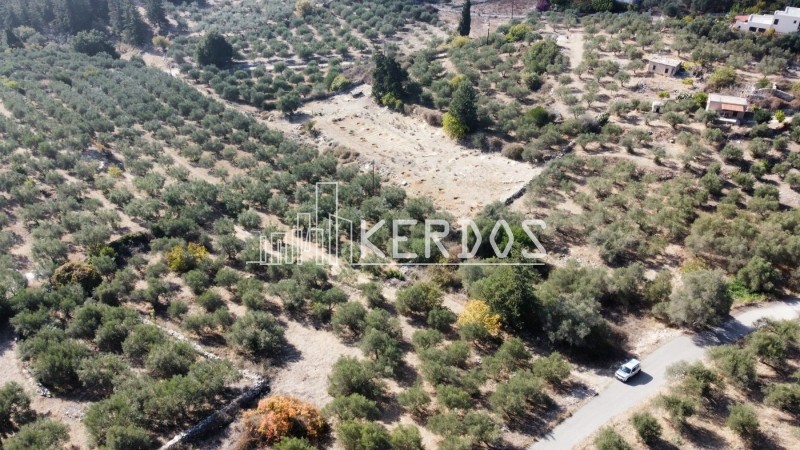 Οικόπεδο 451 τ.μ. προς πώληση, Κάινα