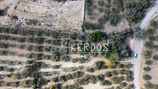 Οικόπεδο 451 τ.μ. προς πώληση, Κάινα-thumb-1