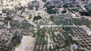 Οικόπεδο 451 τ.μ. προς πώληση, Κάινα-thumb-3