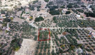 Οικόπεδο 451 τ.μ. προς πώληση, Κάινα-thumb-4
