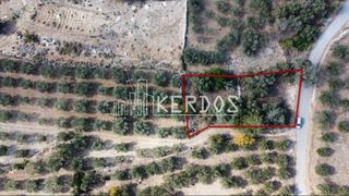 Οικόπεδο 451 τ.μ. προς πώληση, Κάινα-thumb-2