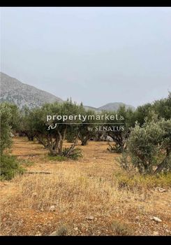 Parcel 2.500sqm for sale-Ierapetra » Kavousi