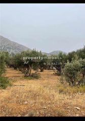 Αγροτεμάχια 2.500 τ.μ. για πώληση