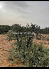 Αγροτεμάχια 2.500 τ.μ. για πώληση, Ν. Λασιθίου, Ιεράπετρα-thumb-5