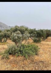 Αγροτεμάχια 2.500 τ.μ. για πώληση, Ν. Λασιθίου, Ιεράπετρα-thumb-4