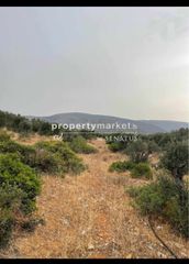 Αγροτεμάχια 2.500 τ.μ. για πώληση, Ν. Λασιθίου, Ιεράπετρα-thumb-2
