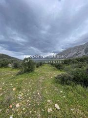 Αγροτεμάχια 2.500 τ.μ. για πώληση, Ν. Λασιθίου, Ιεράπετρα-thumb-9