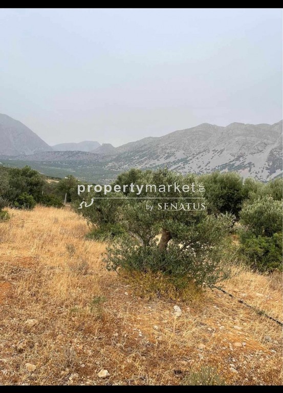 Αγροτεμάχια 2.500 τ.μ. προς πώληση, Καβούσι Ιεράπετρας