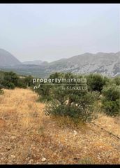 Αγροτεμάχια 2.500 τ.μ. για πώληση, Ν. Λασιθίου, Ιεράπετρα-thumb-3