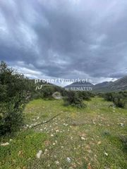 Αγροτεμάχια 2.500 τ.μ. για πώληση, Ν. Λασιθίου, Ιεράπετρα-thumb-7