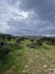 Αγροτεμάχια 2.500 τ.μ. για πώληση, Ν. Λασιθίου, Ιεράπετρα-thumb-8