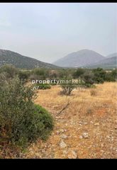 Αγροτεμάχια 2.500 τ.μ. για πώληση, Ν. Λασιθίου, Ιεράπετρα-thumb-1