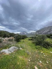 Αγροτεμάχια 2.500 τ.μ. για πώληση, Ν. Λασιθίου, Ιεράπετρα-thumb-10