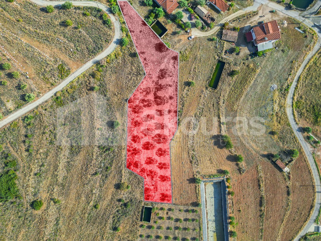 Αγροτεμάχια 3.069 τ.μ. προς πώληση, Νέο Ροεινό