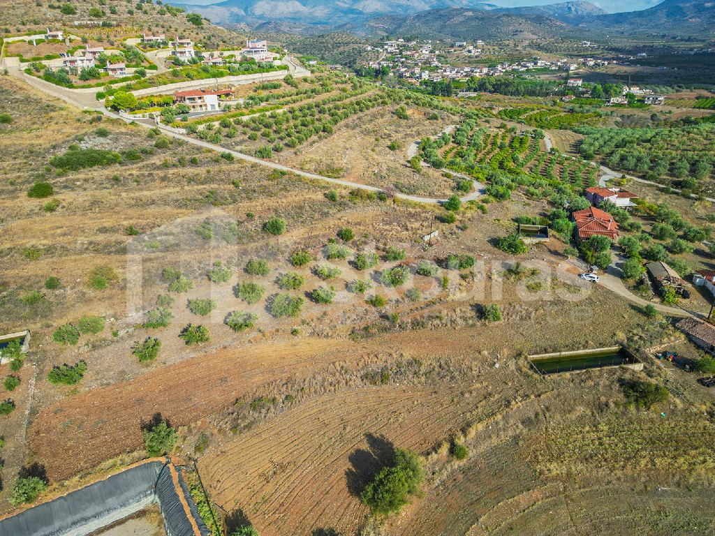 Αγροτεμάχια 3.069 τ.μ. προς πώληση, Νέο Ροεινό