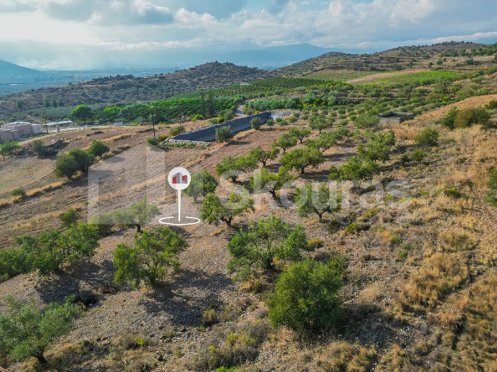 Αγροτεμάχια 3.069 τ.μ. προς πώληση, Νέο Ροεινό