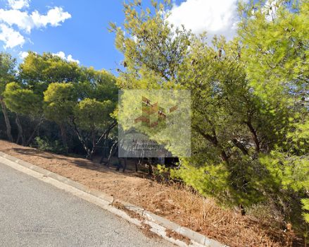 Οικόπεδο 783 τ.μ. για πώληση