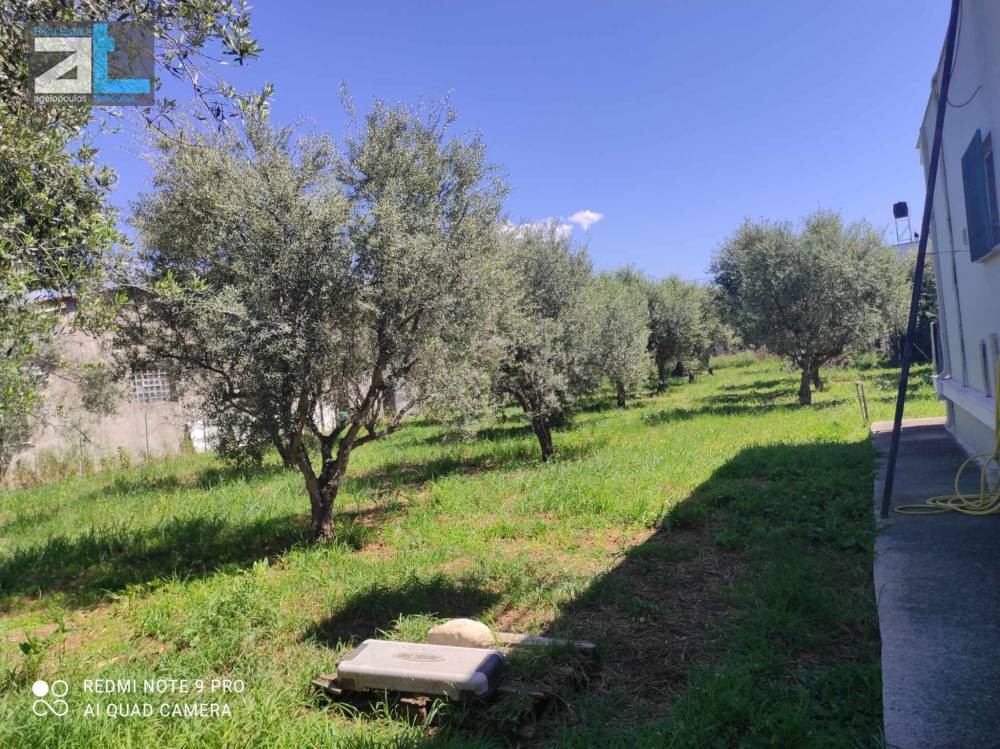Μονοκατοικία 117 τ.μ. πρός πώληση, Αχαΐα, Παραλία