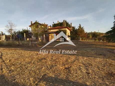 Μονοκατοικία 290 τ.μ. για πώληση