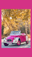 Citroen 2 CV 1980 custom cabrio-thumb-14