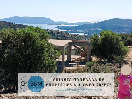 Οικόπεδο 10.000 τ.μ. για πώληση