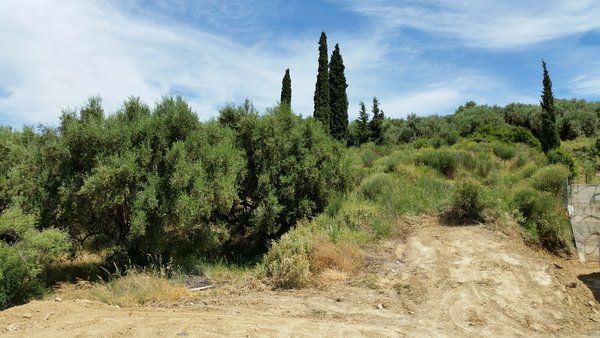 Οικόπεδο 1.000 τ.μ. για πώληση, Αχαΐα, Πάτρα