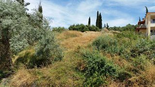 Οικόπεδο 1.000 τ.μ. για πώληση, Αχαΐα, Πάτρα-thumb-7