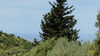 Οικόπεδο 1.000 τ.μ. για πώληση, Αχαΐα, Πάτρα-thumb-3