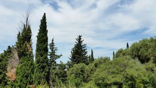 Οικόπεδο 1.000 τ.μ. για πώληση, Αχαΐα, Πάτρα-thumb-1