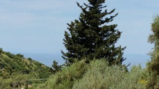Οικόπεδο 1.000 τ.μ. για πώληση, Αχαΐα, Πάτρα-thumb-4