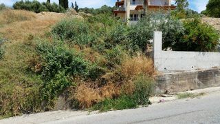 Οικόπεδο 1.000 τ.μ. για πώληση, Αχαΐα, Πάτρα-thumb-8